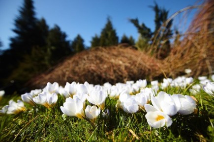 ������ � +17, �� ������ �� �����: ������� ������ � ������������ � ������� �� 5 ������