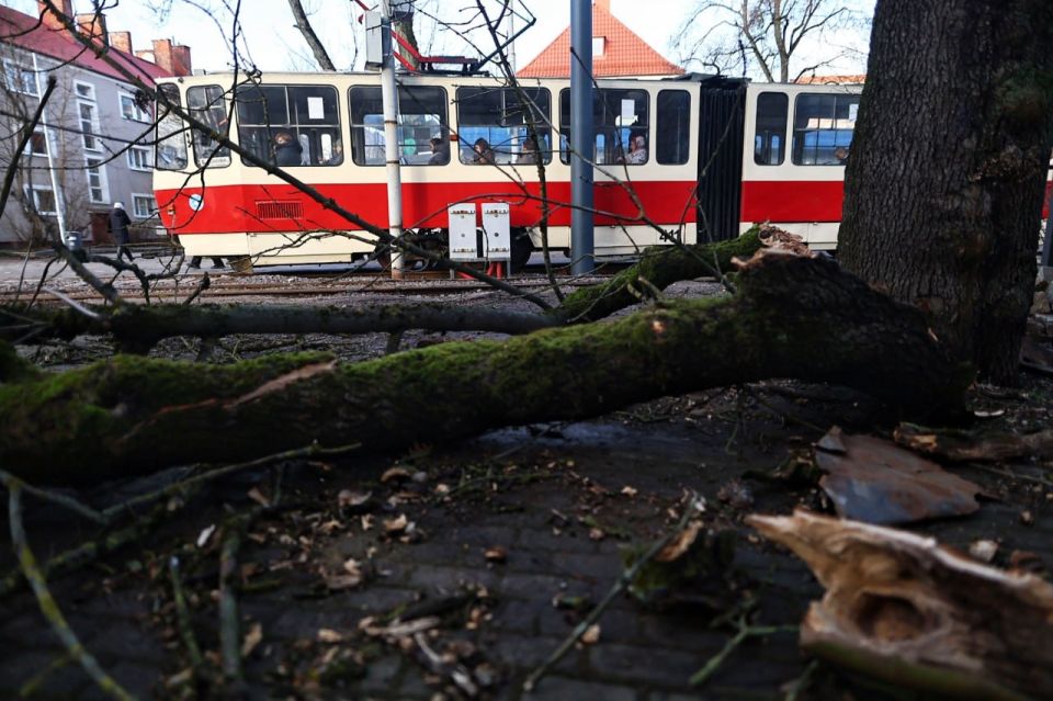 � ��������������� ������� �������� ������� �� ����� �� �����������