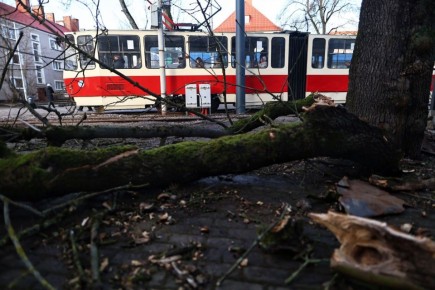 � ��������������� ������� �������� ������� �� ����� �� �����������