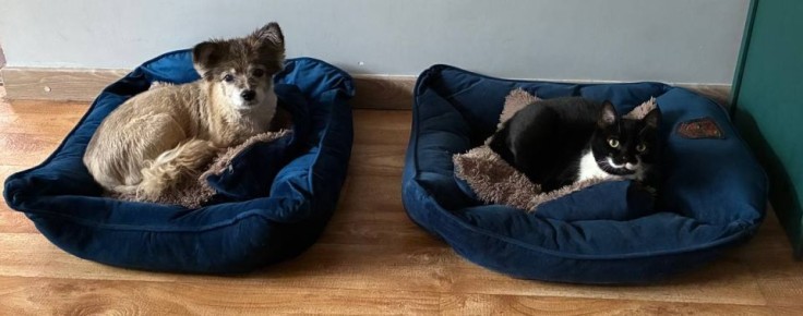 ������� ������ ���������� ������ ������� ����?