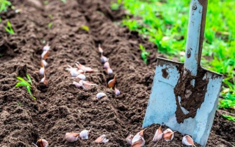 ����������� ���������� ������ ��� ������� �������: ������� �����������