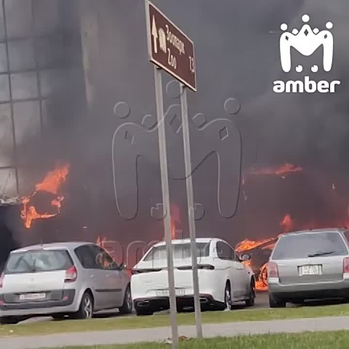 ����� �� "�����" �� ����������