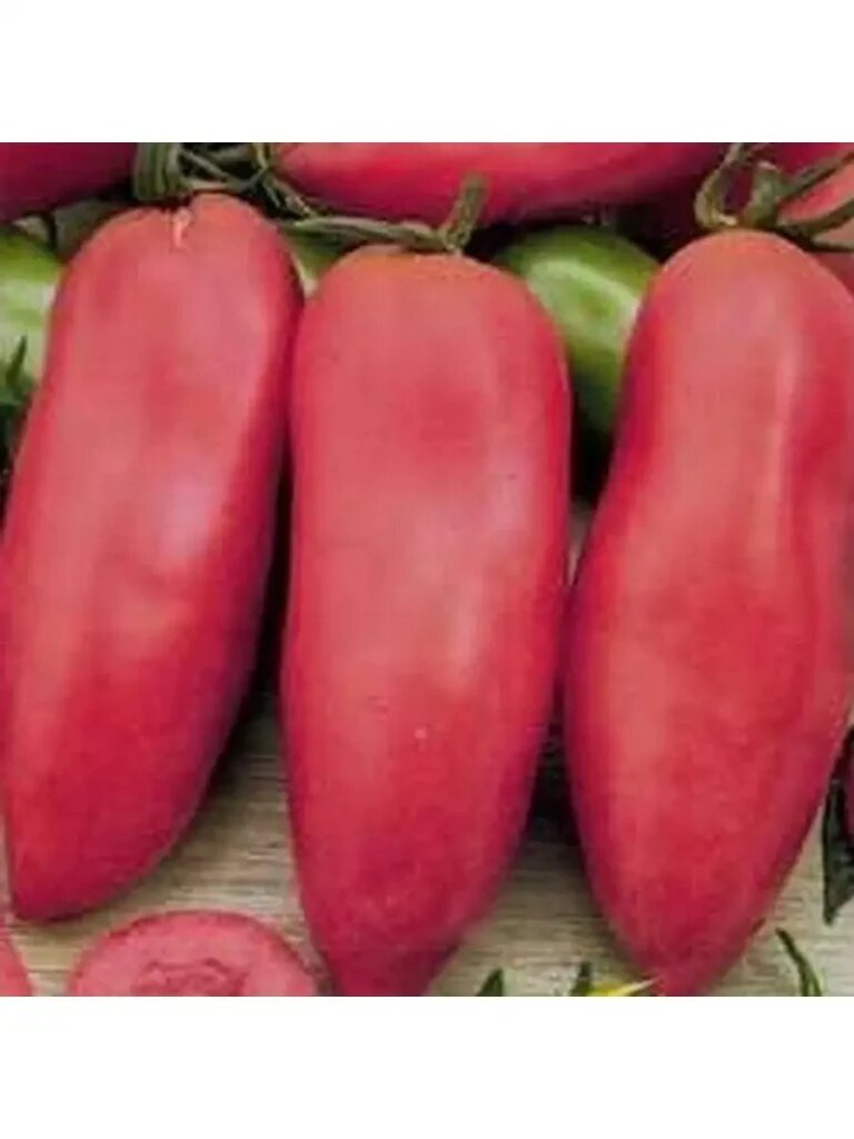 Сладость в каждом плоде: томаты Банан розовый привлекают огородников