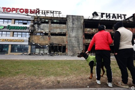 ��� �������� ������ ���������� �� ������