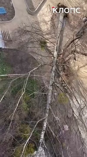 ������� ����� � ��������������� ������� ������� ������� � �������� ������