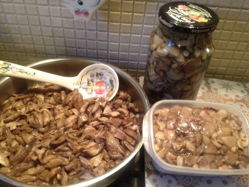 ������� ����������������� ������ �� ������ �����: �������� ����� � ������