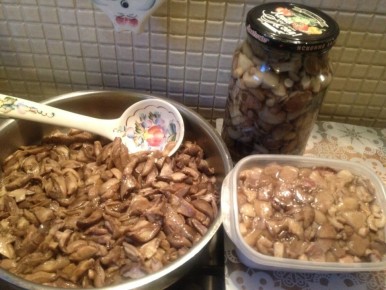 ������� ����������������� ������ �� ������ �����: �������� ����� � ������