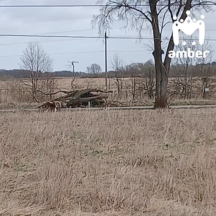 ������ ����� �� �������������� � ������� ��� ������