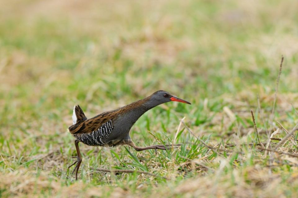 � ����������� ������ �������� ������ � �������� ������ � �������� ��������