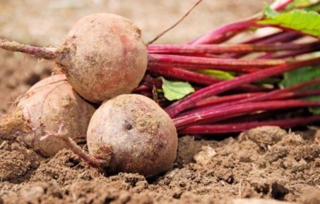 ��� ������������ ��������� ������ � �������: ������ �� ��� ����� ����������