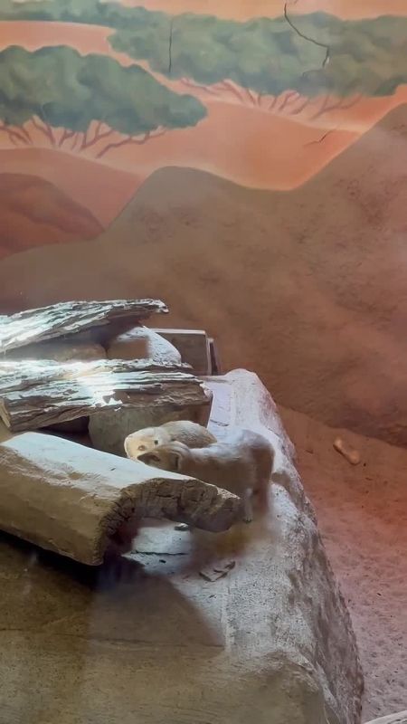 ��������������� ������� ������� ������� ��������� � ������