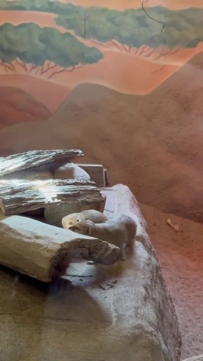 ��������������� ������� ������� ������� ��������� � ������