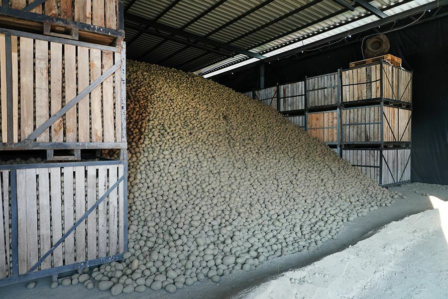 ������������ �� ���������� �������� �� ����� 3,3 ���