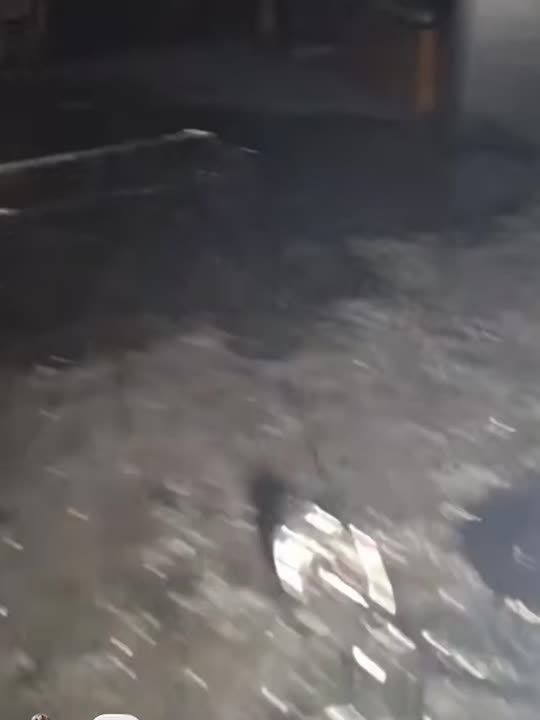 ��� �������� ��������� � ���������� ����� ������ � �� ������