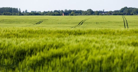 � ��������������� ������� ��� ��������, ������� � ��������� ������� ����� �������� ���� �������������