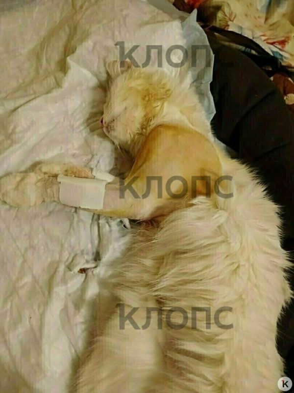 � ������������ ����� ������ � ����� ���� �������� ����, �� �������� ���������� �������