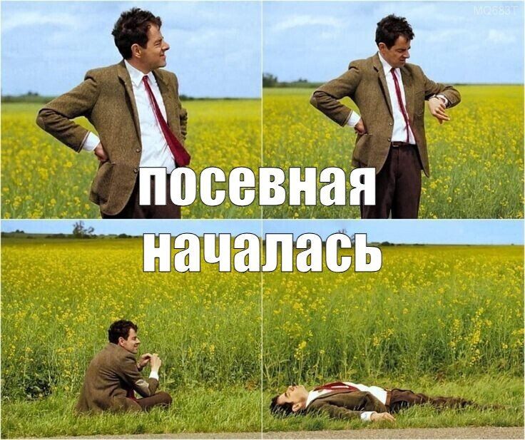 ������� ��������� ������� 323 ���