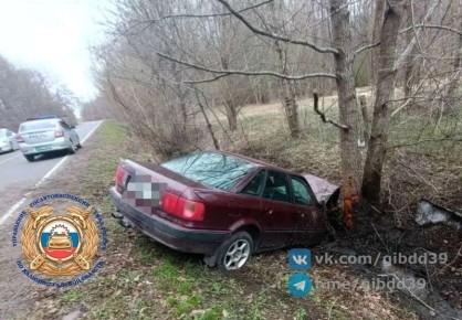 Вонзившееся в дерево «Ауди» под Славском готовы купить