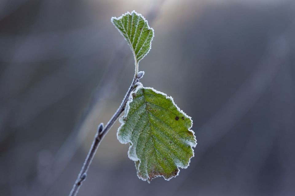 � ��������������� ������� � ����� ������ ������ ��������� �� -5 ��