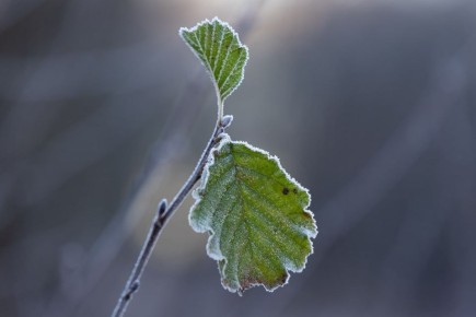 � ��������������� ������� � ����� ������ ������ ��������� �� -5 ��