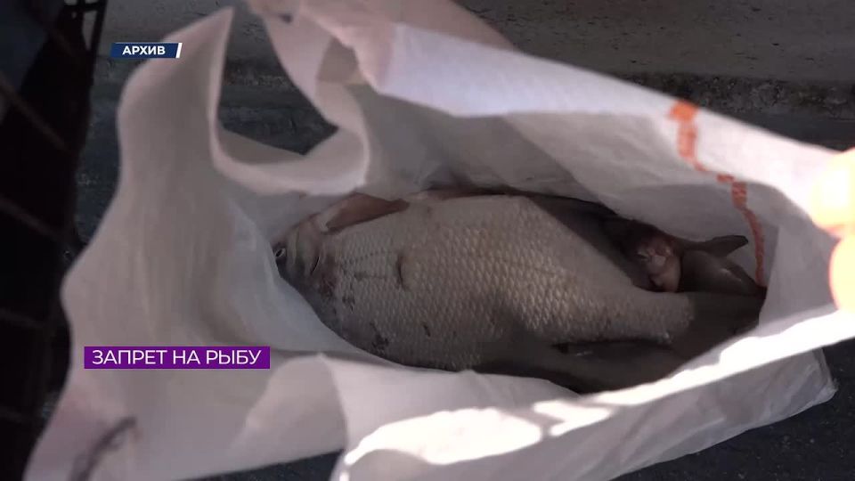 ��� ������� ����� ���������� ���� � ��������������� ������ � �����