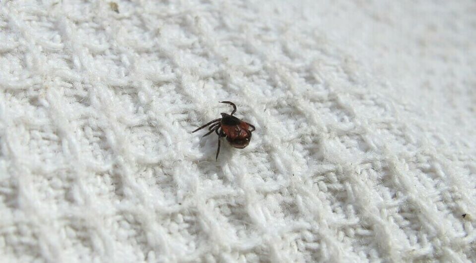 ���������� ������ � ��������������� ������� �����, �������� �� �������� ����