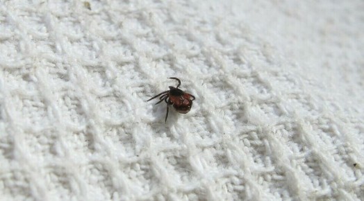 ���������� ������ � ��������������� ������� �����, �������� �� �������� ����