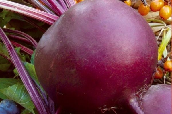 ������� ������: ��� ��������� ������� ������ ����� �����