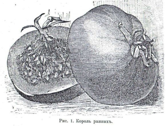 ��� ���������� �������� ���������� ������ � �������� ������?