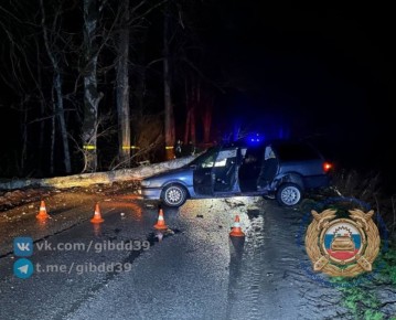 ��� ������������ ���������� ��������� � ���������� ������ ������