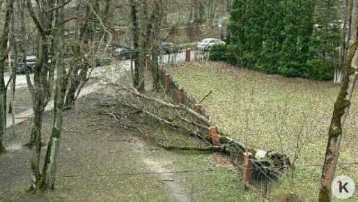 � ������������ ��� �� ��� ������ ��-�� �������� ����� ������� �������