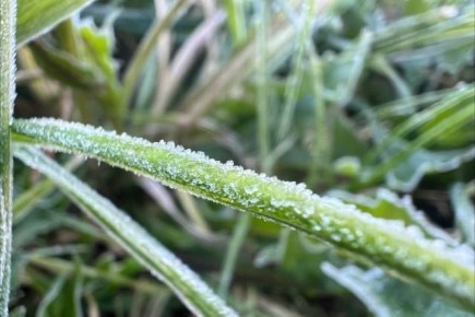 ���, ��� ��� �����, �?. ����������� ������������� � ������� ���������� � ����� ������ � ��������������� �������