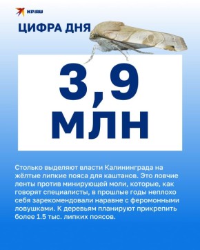 — отличная защита каштанов