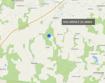 В Багратионовском лесничестве высадят 3200 саженцев ели в рамках акции «Сад памяти»