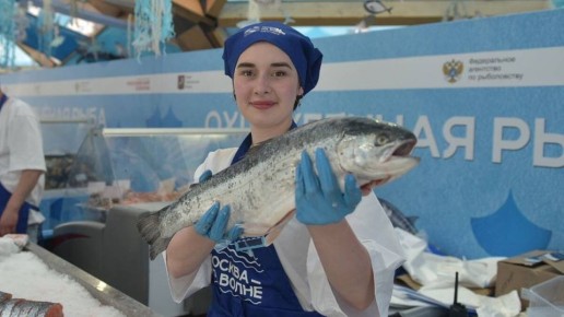 ��� ���������� �������� ����: ������ ������ ��� �����������