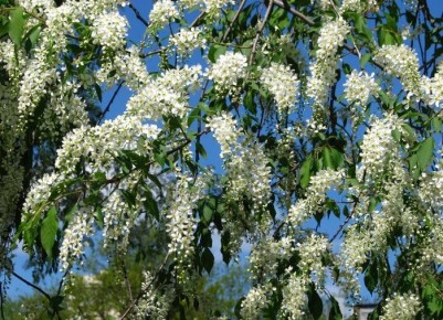 �������� � ����: ����������� �������� ��������� � �������