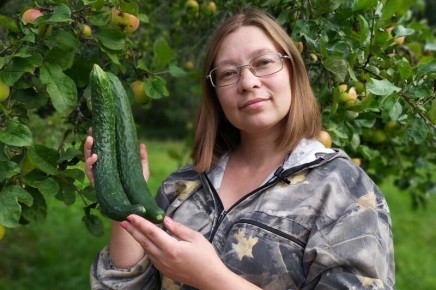 ������ ��������� ��� ��������� � �����������: ���� ����� �� ����� �������