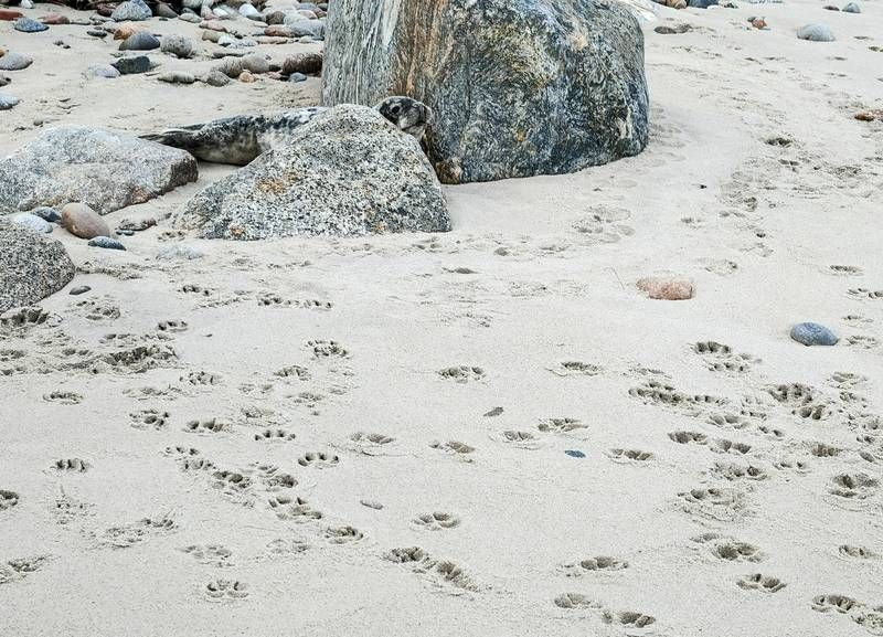 ������ ������ ������� �� ����� �� ����� ��������������� �������