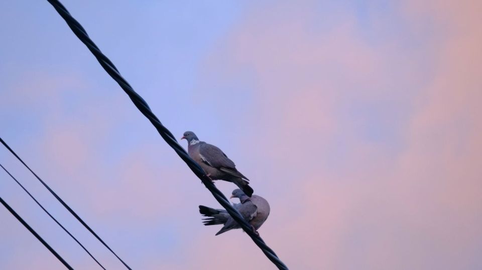 ������ ��������� �������� ������������� ��������� ������ ���� ���������� ����, ������� ������ �� ������������� � ����������� ������ ���������� ����������������� ��� ��������� ����