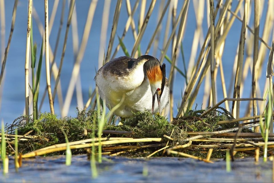 ��������� �� �������� ���� ����� ������� ������ 2026 ���� � ������