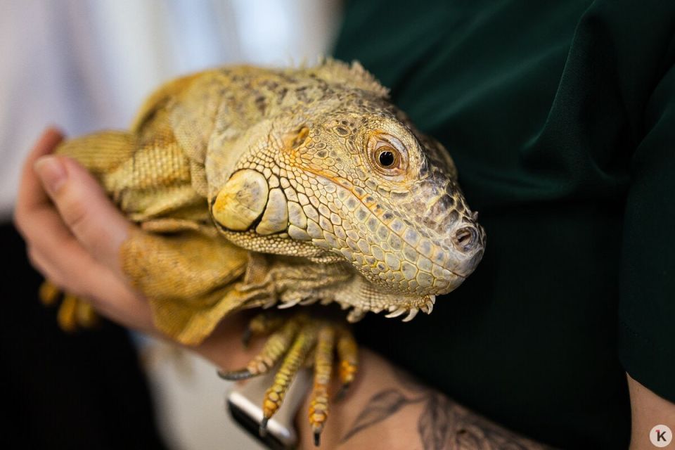 � ��������������� ������� ���� ������ �� ������ ��� ����� � �����, �� � ��� ��������