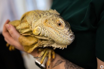 � ��������������� ������� ���� ������ �� ������ ��� ����� � �����, �� � ��� ��������