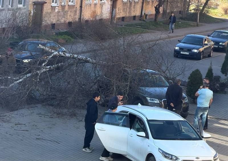 ����� ��������� �� ������ � ��������� ������� � ������������