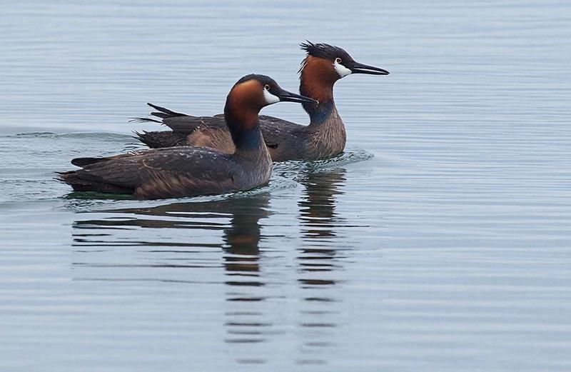 �������� ������� ����� ��������� ������� � ������ ��� �������������