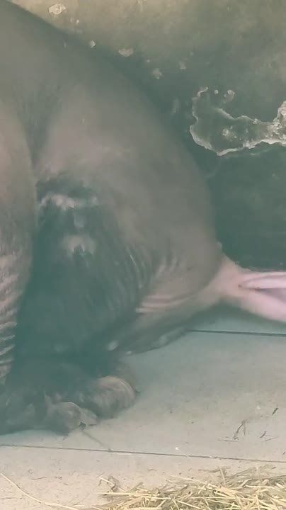 �������� �������� ������ ������ � ��������� ������