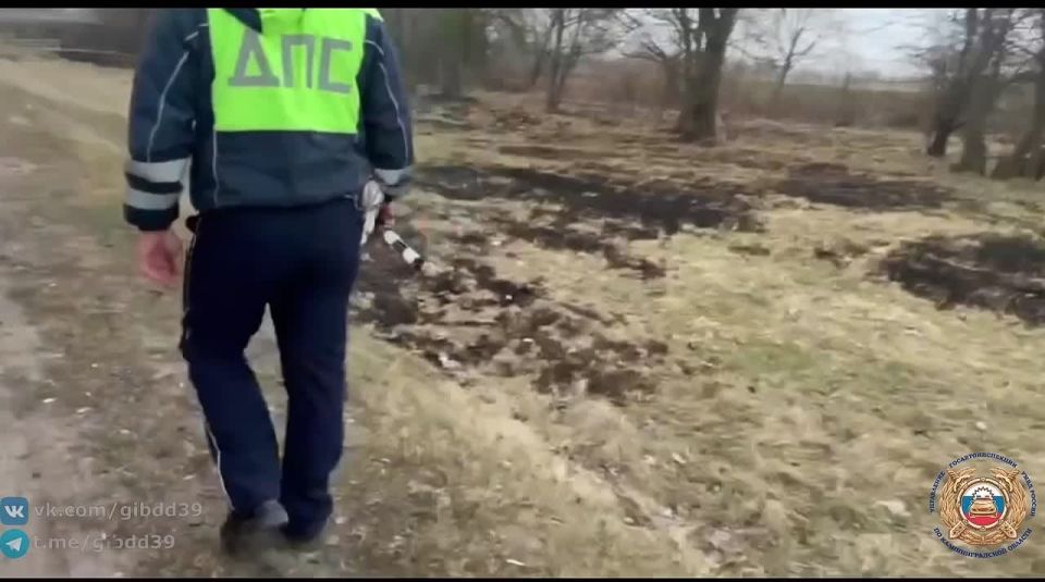 � ��������������� ������� ���������� �������� � ����� ������������ ���������