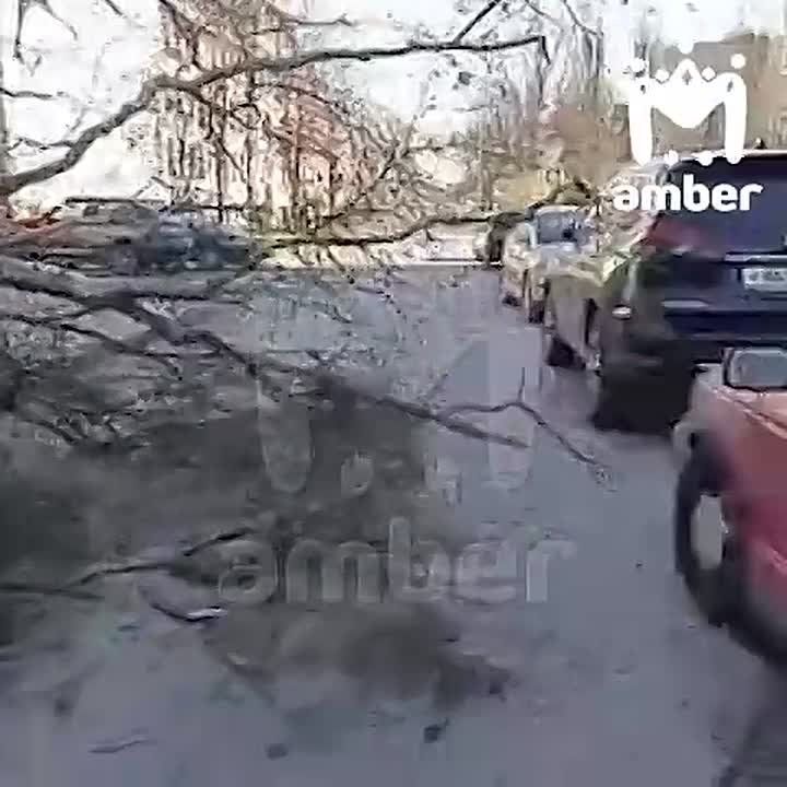 ������ ����� �� ������ � ��������� "������" �� ������������