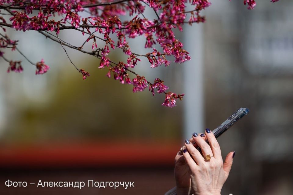 �� ��������� ������� �� ��������� � ������������?