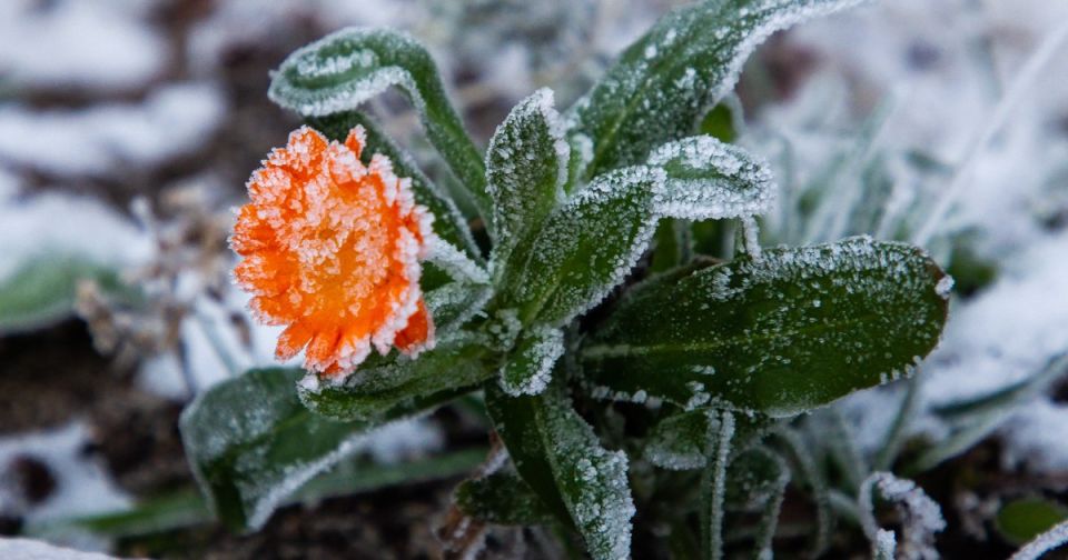 ����� �� -6�C, ���� �� +10: ������� ������ � ��������������� ������� �� �������