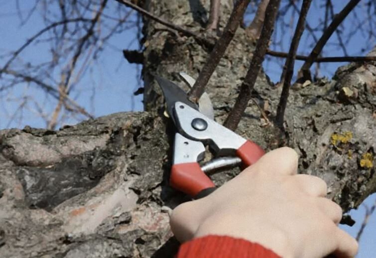 ������� ������� ������: ��� ��������� �������� � ����������� ������